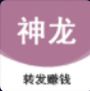 神龙资讯