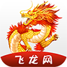 飞龙转