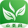 山茶网